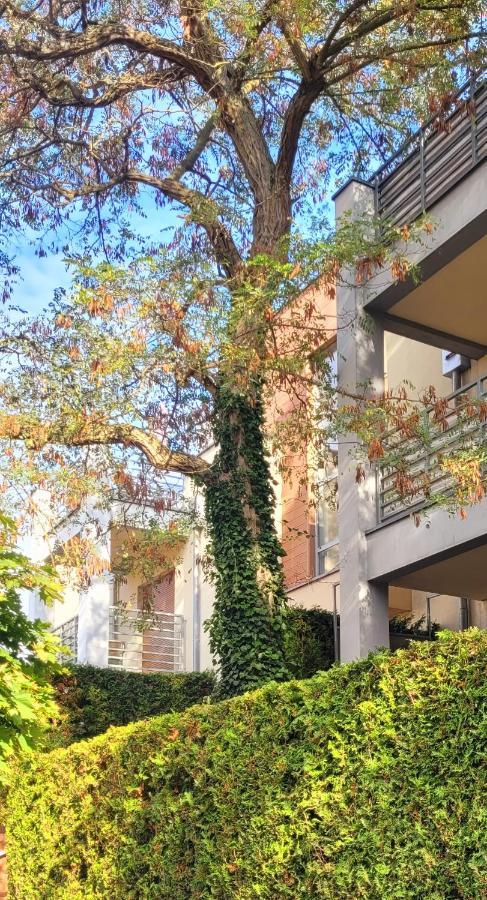 Apartament Wyspa, 2 Pokoje, Parking Gratis Międzywodzie Zewnętrze zdjęcie